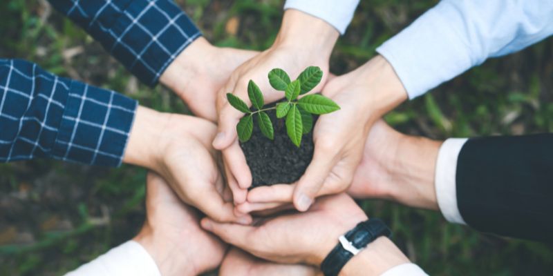 consultoria medioambiental